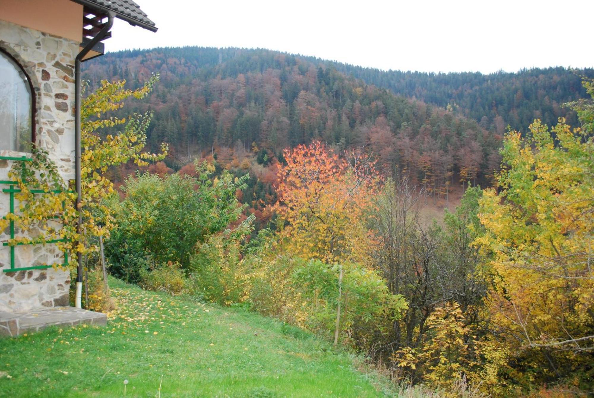 Country House & Spa Mislinja Exterior foto
